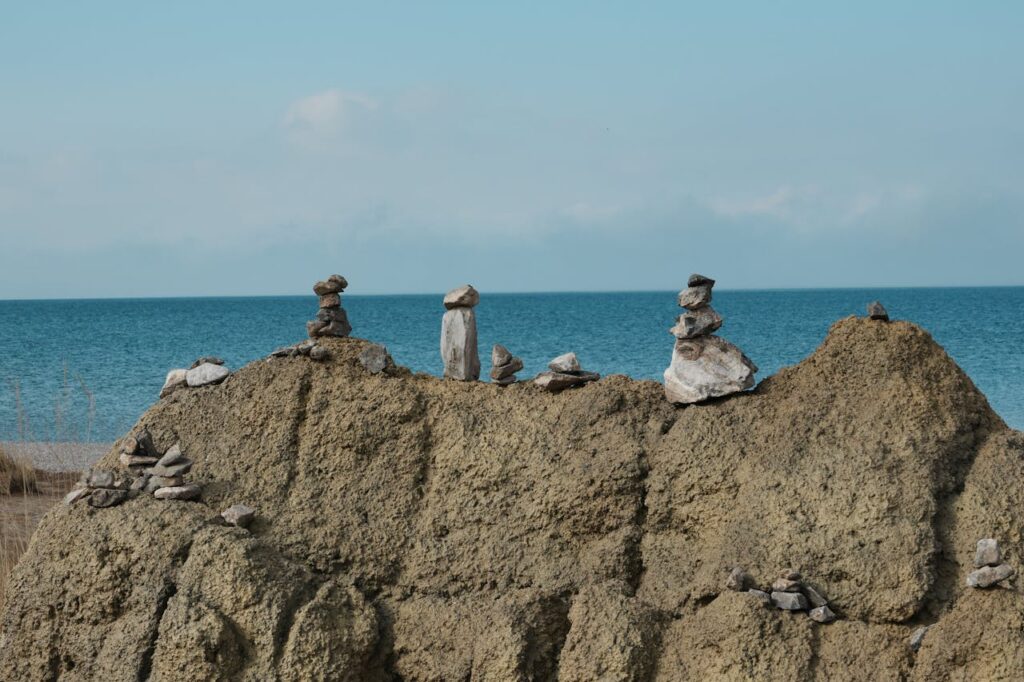 pexels photo 34562373 1024x682 1.jpeg